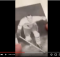 Buying Hockey Photos 1936